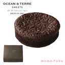 【クーポン有】 お歳暮 冬ギフト お菓子 お歳暮 ギフト ベルギーショコラケーキ ショコラケーキ オーシャンテール プチギフト お菓子 御歳暮 冬ギフト 結婚 出産 内祝い 香典返し 快気祝い お返し お礼 ギフトセット 詰め合わ