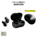 【4日20時〜スーパーSALE】【19%OFF】 販促品 スマートフォンその他 【送料無料】 【20個単位】ワイヤレスイヤホン ブラック スマートフォンその他 ...