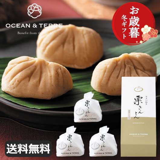【クーポン有】 お歳暮 冬ギフト お菓子 お歳暮 冬ギフト 【送料無料】 【お歳暮】中津川銘菓 栗きんとん3個 和菓子 オーシャンテール プチギフト お菓子 敬...