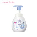 ギフト 【送料無料】 ビオレU泡ハンドソープ240ml マイルド【24個単位】 ウィルス対策 予防グッズ 衛生用品 ギフト 500円 人気 400円台 敬老会 ...