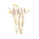 演出グッズ ウェルカムボード シャンペトルフラワー(ベージュピンク)追加用フラワー(10本入) ウェルカムボード 演出グッズ ウェルカムボード 900円 人気 ...