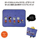 【51%OFF】 販促品 ブランケット 【半額】 【あす楽】 スヌーピーライン ラージブランケット ブランケット 保育園 運動会 景品 幼稚園 敬老会 プレゼント デイサービス 施設 安い 即納 販促品 激安 ブランケット 800