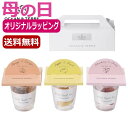 母の日 ドライフルーツセット 母の日 プレゼント 【送料無料】 【母の日】With フルーツティーセットA ドライフルーツセット オーシャンテール 母の日ギフト...