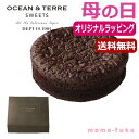 【今だけP最大47倍】 母の日 お菓子 母の日 プレゼント 【送料無料】 【母の日】ベルギーショコラケーキ ショコラケーキ オーシャンテール プチギフト お菓子 母の日ギフト 敬老会 プレゼント デイサービス 母の日 ショコラケー(4)
