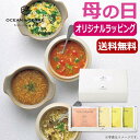 母の日 スープ 母の日 プレゼント 【送料無料】 【母の日】フリーズドライ野菜スープセットA スープ オーシャンテール 母の日ギフト 敬老会 プレゼント デイサ...