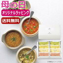 母の日 スープ 母の日 プレゼント 【送料無料】 【母の日】フリーズドライ野菜スープセットB スープ オーシャンテール 母の日ギフト 敬老会 プレゼント デイサ...