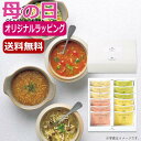 母の日 スープ 母の日 プレゼント 【送料無料】 【母の日】フリーズドライ野菜スープセットC スープ オーシャンテール 母の日ギフト 敬老会 プレゼント デイサ...