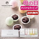 【9日20時〜P最大47倍】 母の日 お菓子 母の日 プレゼント 【送料無料】 【母の日】手作り 最中 小倉もなか オーシャンテール プチギフト お菓子 母の日...