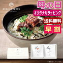 母の日 お茶漬け 母の日 プレゼント 【送料無料】 【母の日】だし茶漬けセットS お茶漬け オーシャンテール 母の日ギフト 敬老会 プレゼント デイサービス 母...