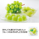【今だけP最大47倍】 プチギフト お菓子 おしゃれ 【送料無料】 【48個単位】国産ゼリー10個入 長野県産シャインマスカット ゼリー 敬老会 プレゼント デ...