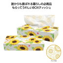 【5%OFF】 販促品 ティッシュペーパー 【送料無料】 【60個単位】夏柄BOXティッシュ120W ひまわり ティッシュペーパー ウィルス対策 予防グッズ 衛...