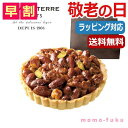  母の日 プレゼント   ヘーゼルナッツキャラメルタルト タルト オーシャンテール プチギフト お菓子 母の日ギフト 敬老会 プレゼント デイサービス 母の日 ギフト