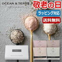  母の日 プレゼント   塩＆スパイスセット 塩セット オーシャンテール 母の日ギフト 敬老会 プレゼント デイサービス 母の日 ギフト 早割 塩セット 2000円 人