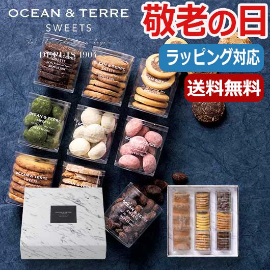 【P最大46倍】 母の日 ギフト お菓子 父の日 プレゼント 【送料無料】 【父の日】 クッキースイーツ　セットG　 焼菓子セット オーシャンテール プチギフト お菓子 母の日ギフト 父の日 ギフト 敬老会 プレゼント デイサービ