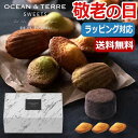 【P最大47倍】【10%OFF】 母の日 プレゼント 【送料無料】 【母の日】【早割】 とろ～り濃厚 ...