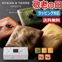 【5/1はP3倍】【10%OFF】 母の日 プレゼント 【送料無料】 【母の日】【早割】 Cafe　フィナンシェ フィナンシェ オーシャンテール プチギフト お菓子 母の日ギフト 敬老会 プレゼント デイサービス 母の日 ギフト