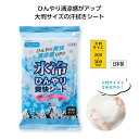 【15%OFF】 プチギフト 制汗シート 【送料無料】 【250個単位】氷冷ひんやり爽快シート大判タイプ15枚入 無香 制汗シート プチギフト 激安 制汗シート...