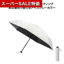 【クーポン有】【38%OFF】 販促品 男女兼用雨傘 アイスグレー晴雨兼用折りたたみ傘 男女兼用雨傘 販促品 激安 男女兼用雨傘 900円 人気 800円台 敬老会 プレゼント イベント セール sale