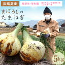 【淡路島産】新たまねぎ 極早生 早生種 春いちばん 七宝早生7号 レクスター 他 5kg mix-onion-5 極早生 たまねぎ 玉葱 オニオン 兵庫県 淡路...