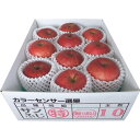 青森県産 糖度14度以上サンふじ (2.5kg)