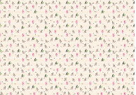 【花王 キュキュット2本セット限定】ラッピング「ハッピーバード」【単品注文不可】