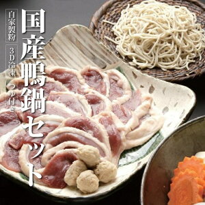 ■蕎麦 石はら 国産 鴨鍋 セット■そば 鴨 お取り寄せ グルメ ギフト プレゼント【送料無料】おうちで楽しむ 長期保存 冷凍生麺 東京 お祝い 引越祝 誕生日 そばギフト