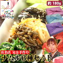 【ナムル6種盛り合わせ】約180g ナムル各6種×1パック 約30gずつ 冷蔵 手作り セット 特製 もやし ほうれん草 ぜんまい 大根 きのこ ナス 野菜 韓...
