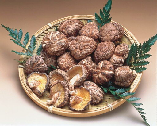 大分県産 どんこ椎茸【送料無料】シイタケ,MPP 大分県産 どんこ椎茸【送料無料】シイタケ,MPP