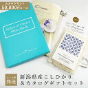 【NEW！】【メール便】新潟県産こしひかり ＆ カタログギフト セット（海原）50,800円コース カタログ コシヒカリ お米ギフト 米 内祝い 内祝 御礼 お祝い 結婚祝い 結婚内祝 出産内祝 新築内祝 誕生日 プレゼント 香典返し 法要 入学祝い 快気祝い ギフト 【消費税10％】