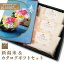新潟 米 & カタログギフト (白波) セット 新潟県産 こしひかり 2合 (300g) × 3袋 カタログギフト 奏 10800円コース コシヒカリ 御祝 お...