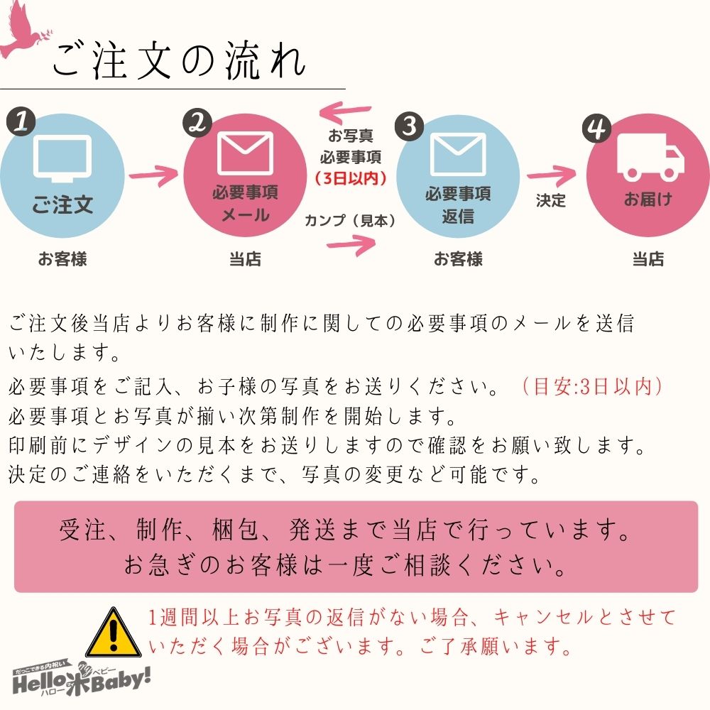 【名入れ】送料無料 新潟県産コシヒカリ 出産内...の紹介画像3