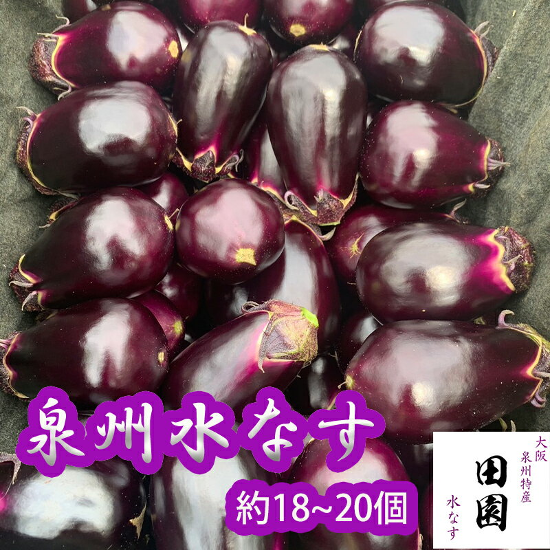 【10%OFF!スーパーSALE期間限定】泉州特産 産地直送 Aランク 水ナス 生ナス 約18〜20個 約3.5キロセット 田園 ギフト 配達日時指定不可 ご家庭用 贈答用 送料無料