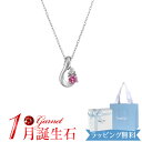カナル4℃ ネックレス K10ホワイトゴールド ネックレス 誕生日石 1月