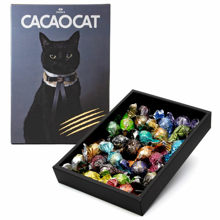 【即日出荷】DADACA　CACAOCAT 24個入CATチョコレート【送料込み価格】(4)