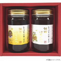 【あす楽】藤井養蜂場はちみつギフト（TM-30）【送料込み価格】