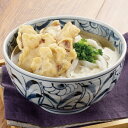 【選べる箱数（1～12箱）】博多ごぼう天うどん（1箱：3食入）【送料込み価格】