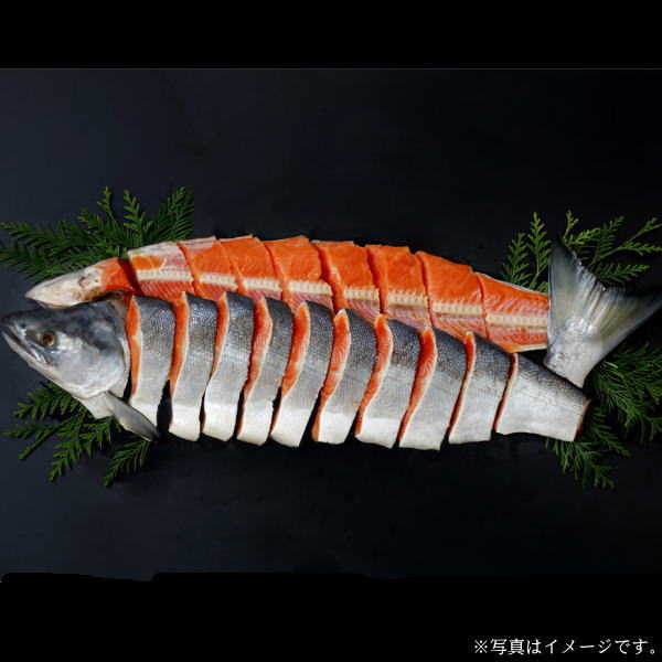 【メーカー直送】網走水産紅鮭姿切身（1本・1.3～1.6kg）（AP-068）