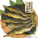 内容／長良川天然鮎塩焼き×5尾 箱サイズ／21×17×5.5cm 重量／800g 賞味期限／出荷より冷凍30日 生産地：岐阜県 【配送方法】　クール便(冷凍) 世界農業遺産にも認定されている岐阜の清流 長良川の天然鮎。 認められた川漁師が自ら獲った鮎を塩焼きにしています。