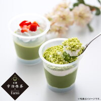 【メーカー直送】京都・宇治抹茶パフェ&ティラミスのアイスセット(PFMI-006)