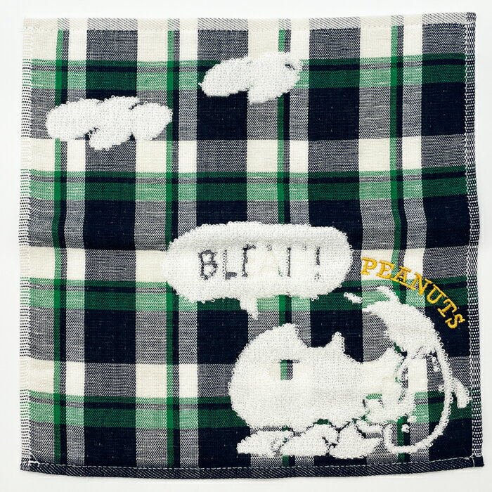 【刺繍名入れ】スヌーピーPEANUTS チェックタオルハンカチ <グリーン>(約25×25cm)【メール便発送 送料込み価格】