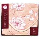 【選べる箱数(1〜10箱)】京都 洛中かすみ捺染 敷パット(ベージュ)(KSG13100-BE)【送料込み価格】