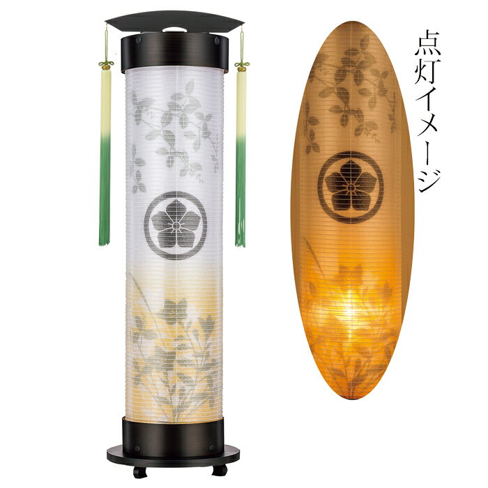 Bon Paper Lanterns - 神代杉　7号　伸縮提灯　＜京桔梗＞刷り絵二重張（一個）飾り手付(17047T)