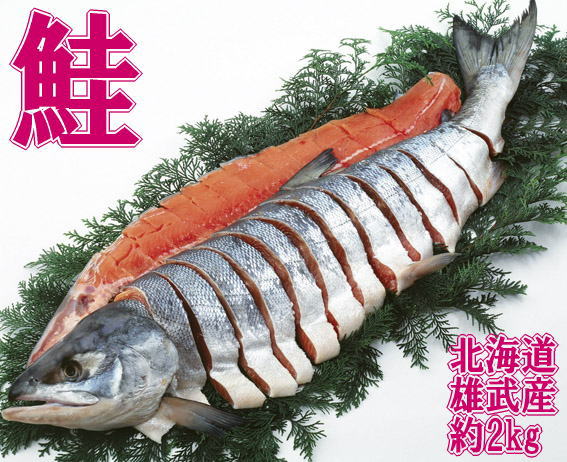 北海道雄武産天然新巻鮭姿造り切り身(1.8-2.2)【産地直送】