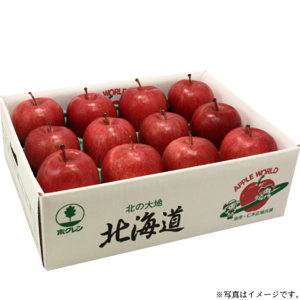 【産地直送】『数量限定200セット』JAよいち　りんご(北斗)5kg(S-4529 17)≪発送期間：12月5日(木)頃より順次≫【お届け日指定不可】のサムネイル