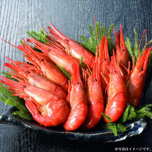 北海道 丸高水産厚岸産北海しまえび300g(ボイル)(25-5027 11)【産地直送】 北海道 丸高水産厚岸産北海しまえび300g(ボイル)(25-5027 11)【産地直送】
