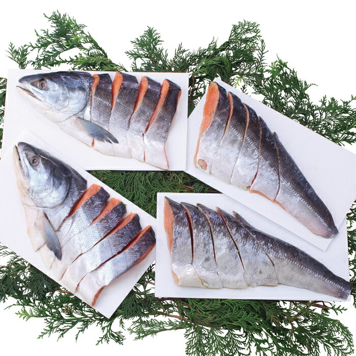 北海道産銀毛新巻鮭姿切身600g×2（7102）【産地直送】