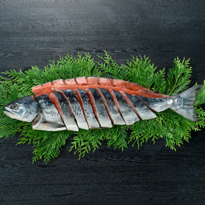 北海道　三協水産北海道日高沖　新巻鮭姿切身1.5kg(S-550103)【産地直送】