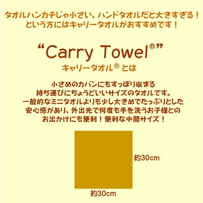 ギフトギャラリー石橋の【刺繍名入れ】ポルク キャリータオル＜タートルドーブス＞（0545000200）※こちらの商品は箱に入っておりません【メール便発送　送料込み価格】｜アングル3