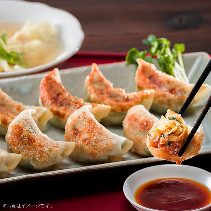 北海道 創造企画社のぎょうざ ギフトセット(S-553713)【産地直送】