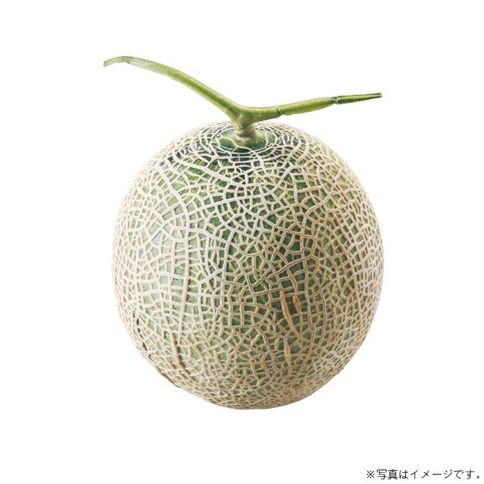 Rakuten - 【産地直送】マスクメロン［1玉］（AF-MM1.3-1N）≪お届け期間：7月中旬〜8月上旬≫【お届け日の指定はできません】